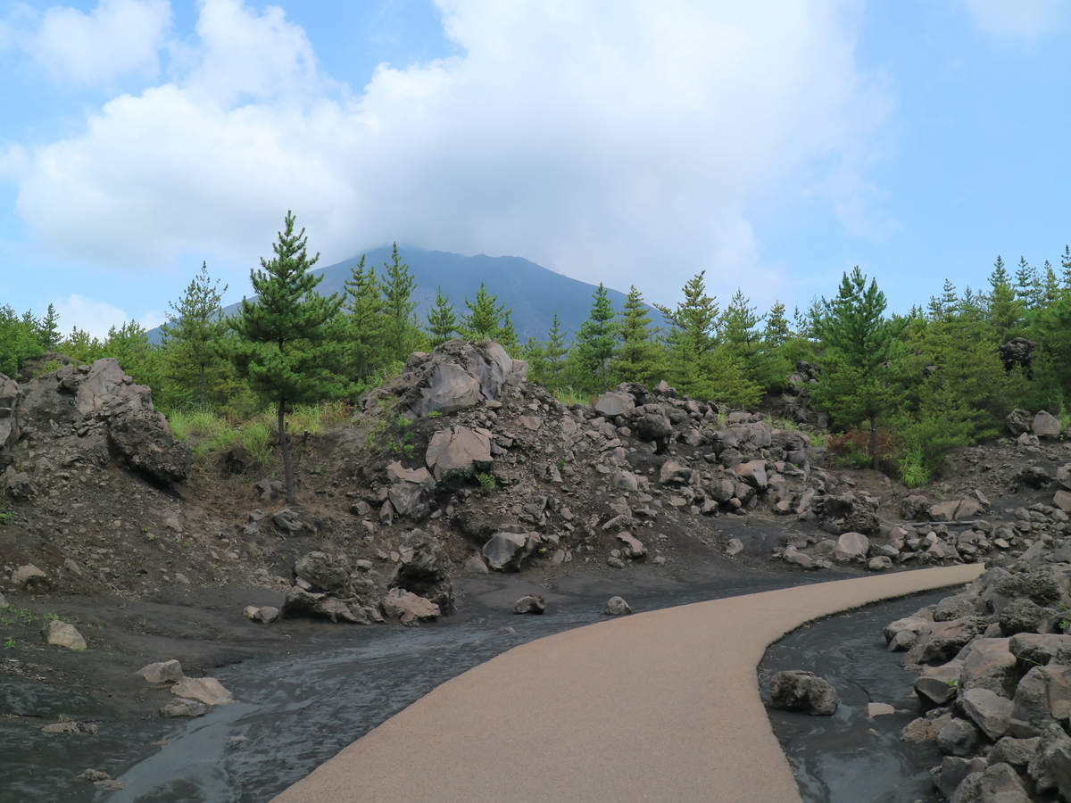 f:id:HKT1989:20190617071854j:plain f:id:HKT1989:20190617071854j:plain