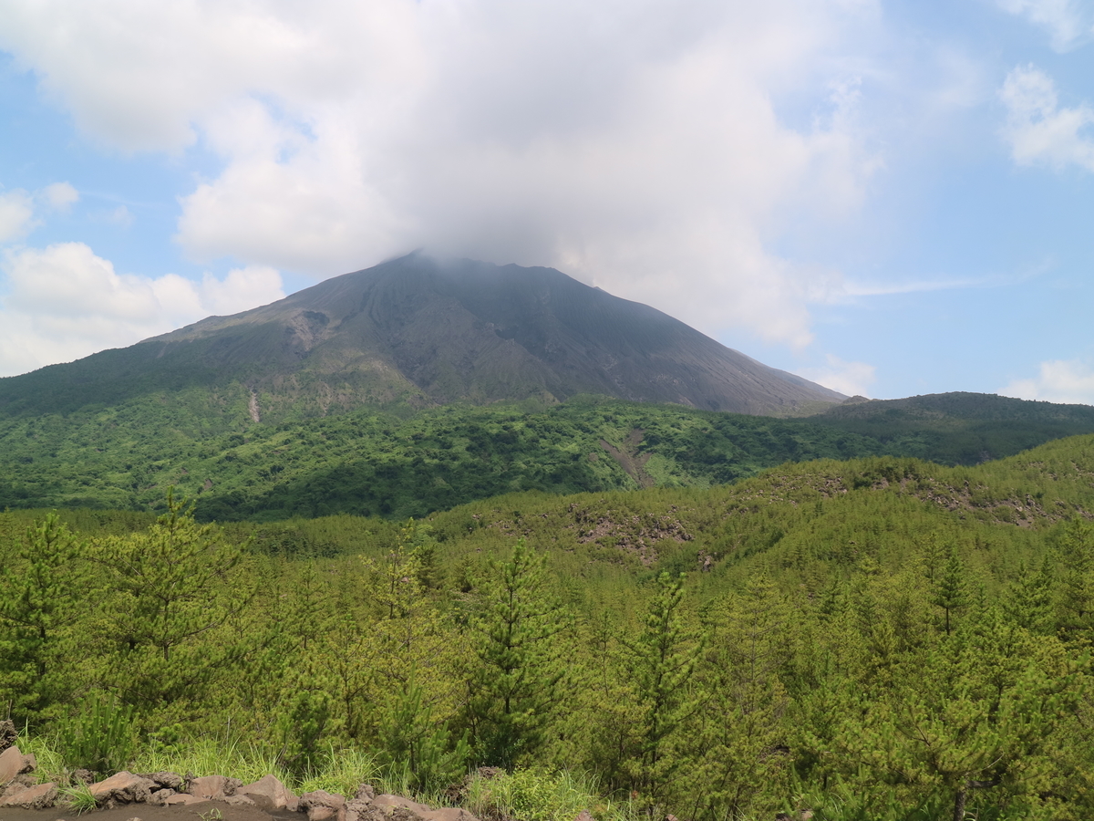 f:id:HKT1989:20190617071912j:plain f:id:HKT1989:20190617071912j:plain
