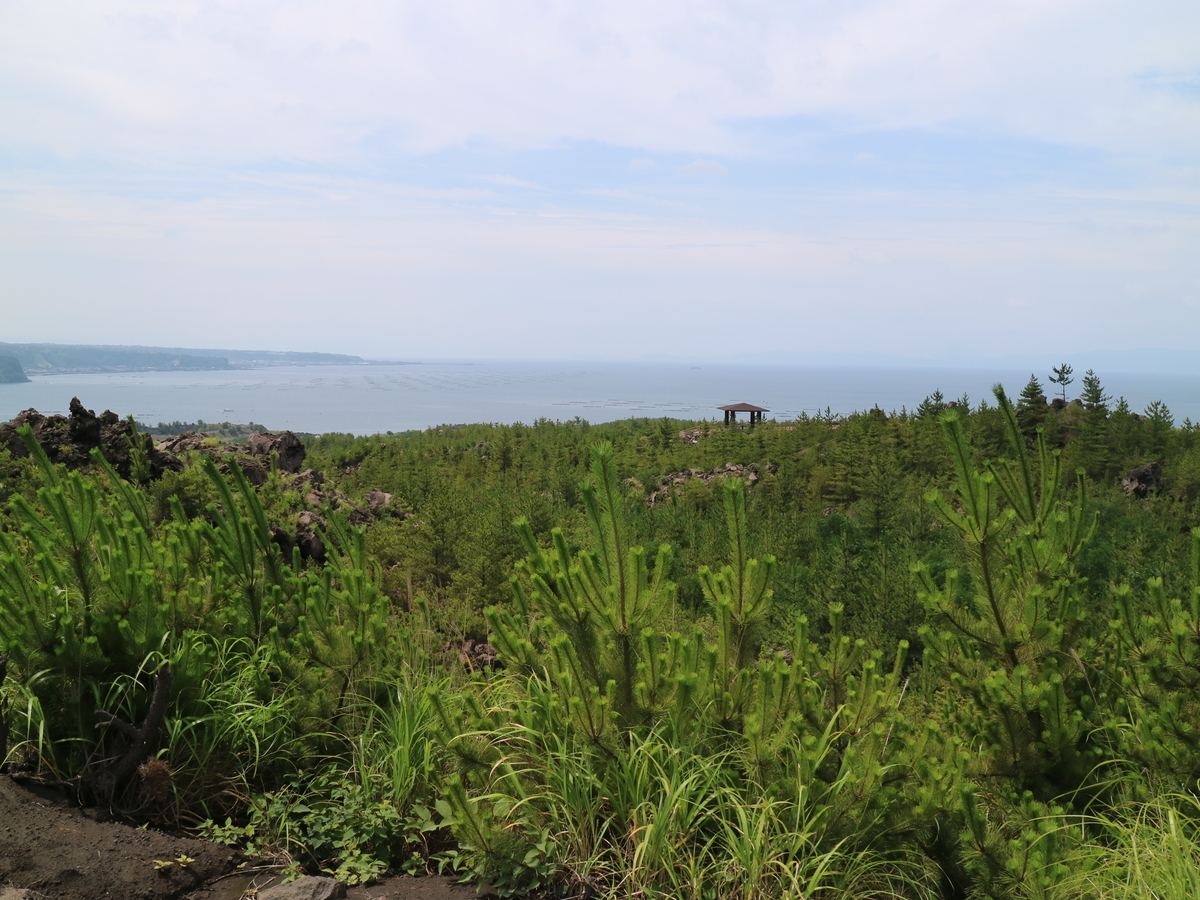 f:id:HKT1989:20190617071930j:plain f:id:HKT1989:20190617071930j:plain