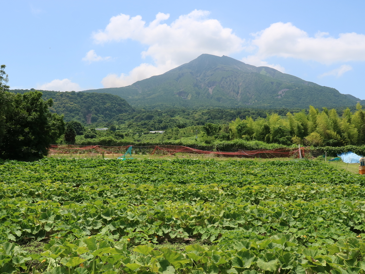f:id:HKT1989:20190617072709j:plain f:id:HKT1989:20190617072709j:plain