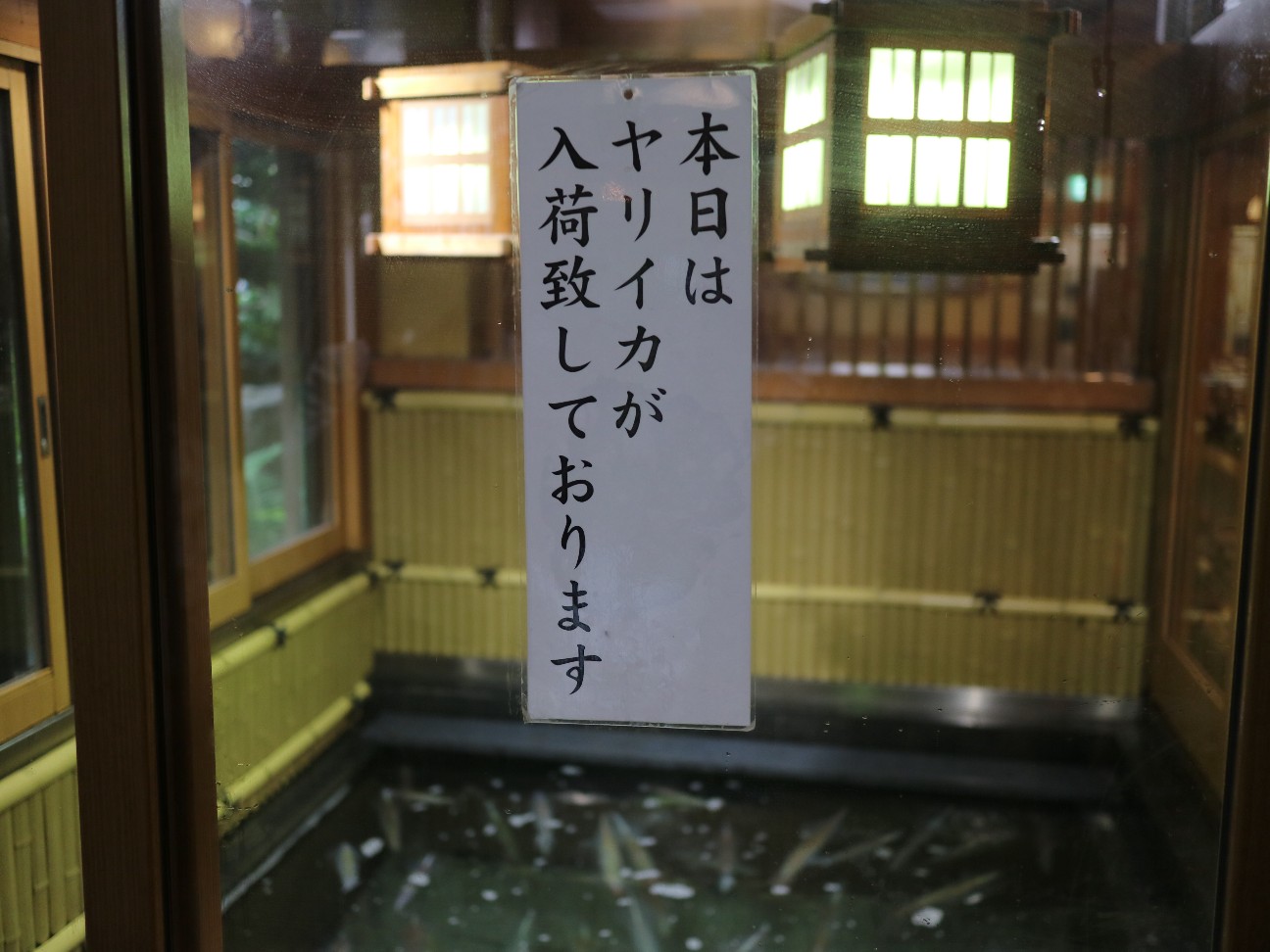 f:id:HKT1989:20190718094126j:image f:id:HKT1989:20190718094126j:image