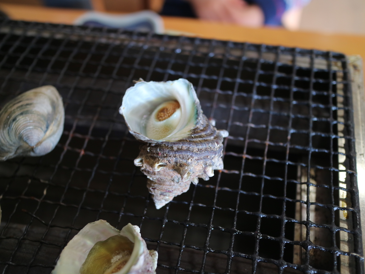 f:id:HKT1989:20190724122154j:plain