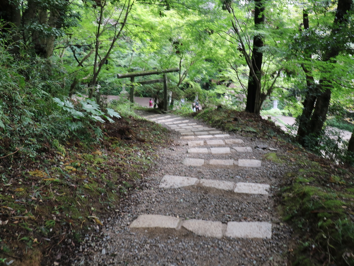 f:id:HKT1989:20191021101411j:plain f:id:HKT1989:20191021101411j:plain