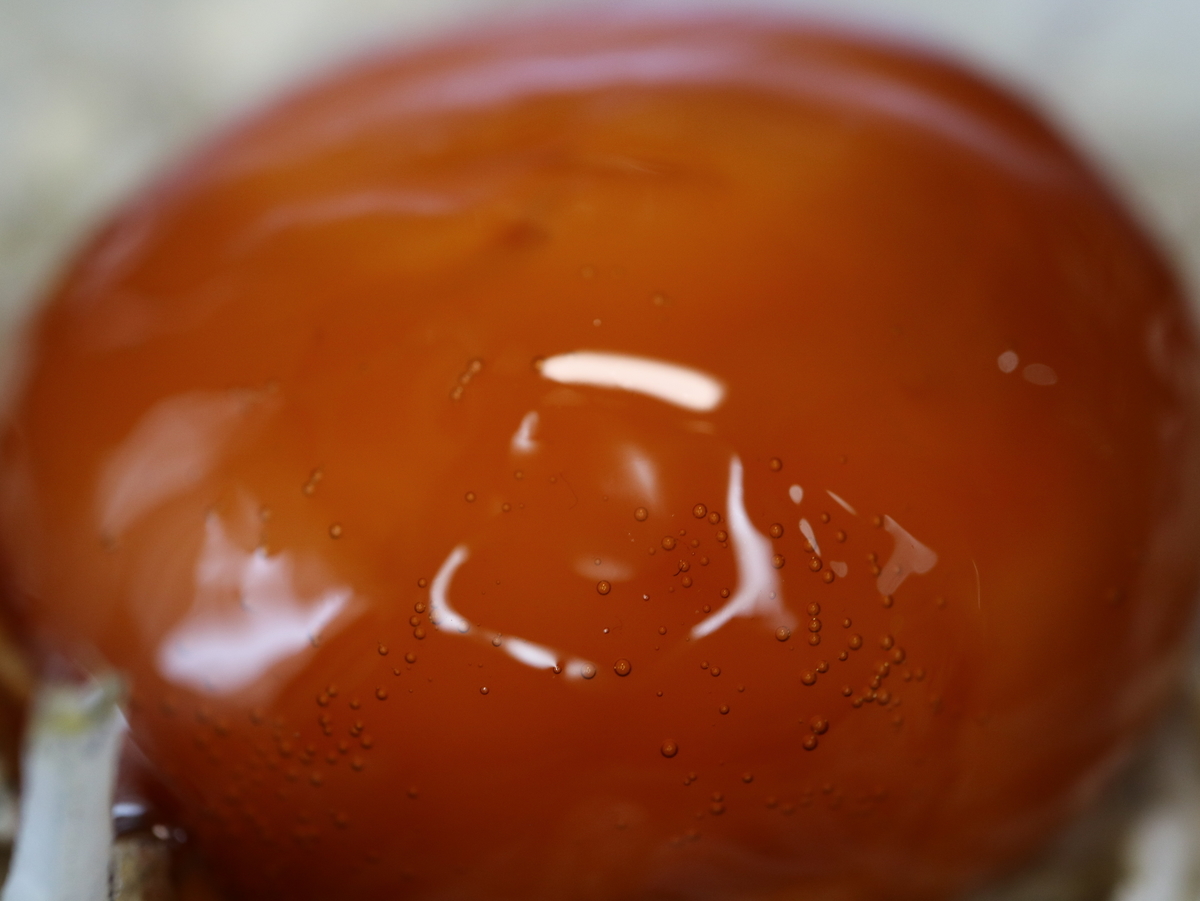 f:id:HKT1989:20191124130204j:plain f:id:HKT1989:20191124130204j:plain