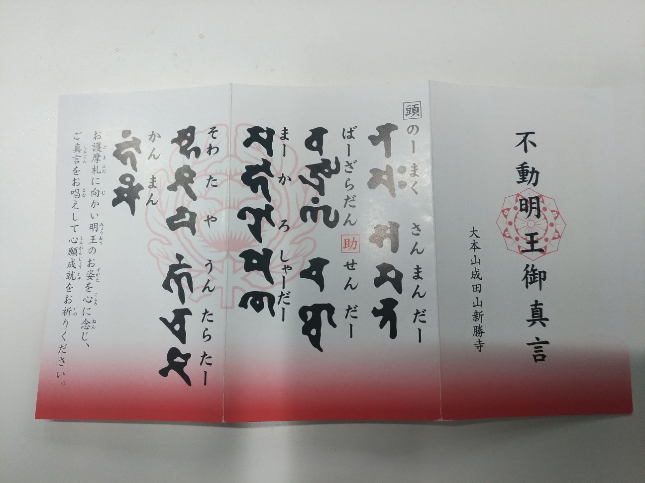 f:id:HKT1989:20200110130528j:image f:id:HKT1989:20200110130528j:image