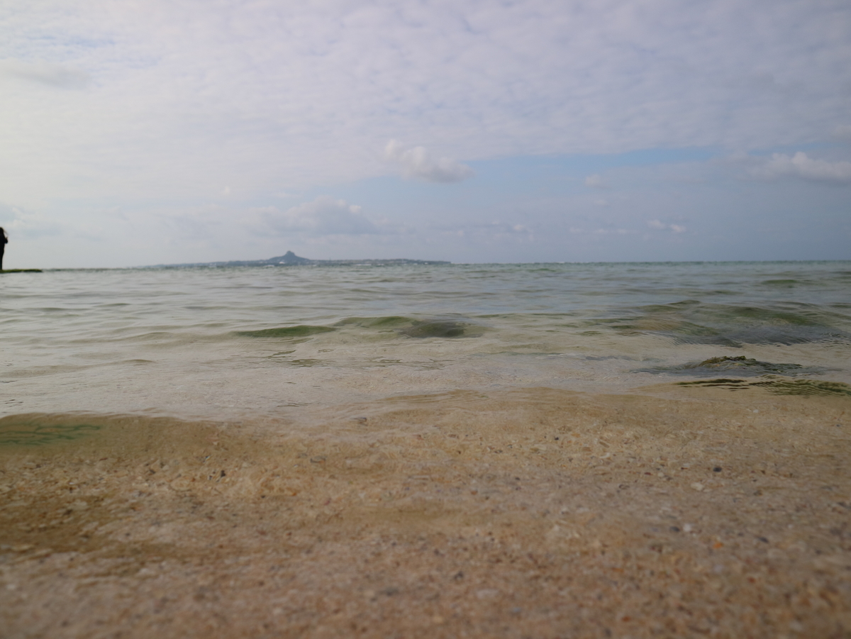 f:id:HKT1989:20200113224705j:plain f:id:HKT1989:20200113224705j:plain
