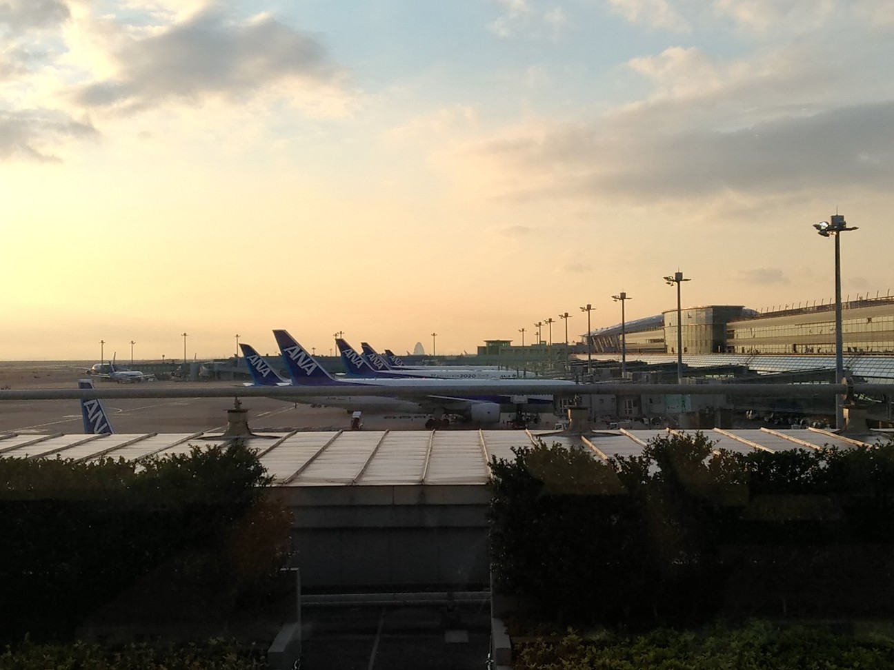 f:id:HKT1989:20200203234541j:image f:id:HKT1989:20200203234541j:image