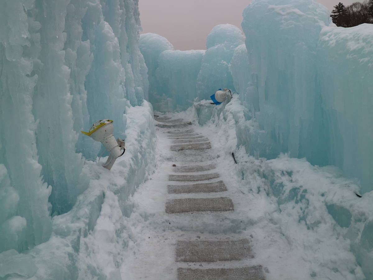 f:id:HKT1989:20200204002234j:plain f:id:HKT1989:20200204002234j:plain