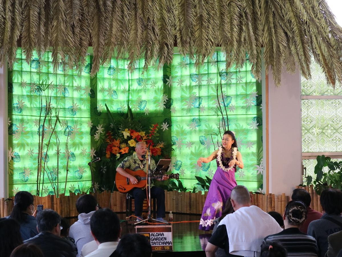 f:id:HKT1989:20200216141327j:plain f:id:HKT1989:20200216141327j:plain