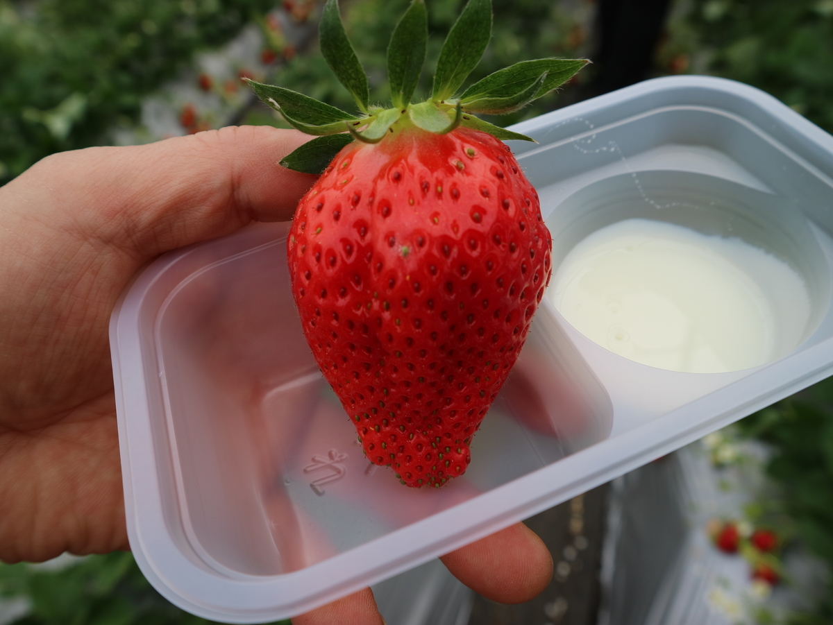 f:id:HKT1989:20200216144051j:plain f:id:HKT1989:20200216144051j:plain