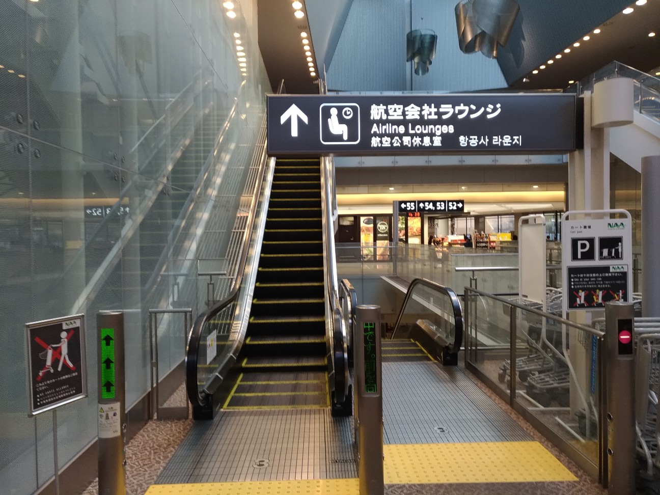 f:id:HKT1989:20200225094936j:image f:id:HKT1989:20200225094936j:image