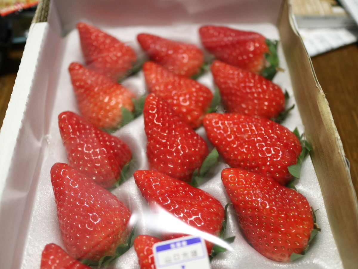 f:id:HKT1989:20200404085142j:plain