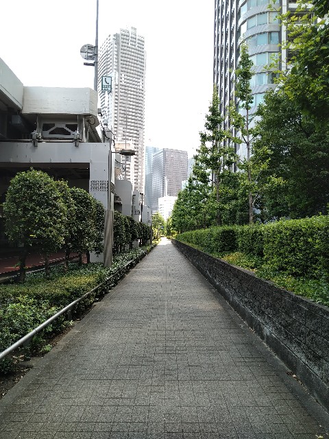 f:id:HKT1989:20200814073122j:image f:id:HKT1989:20200814073122j:image