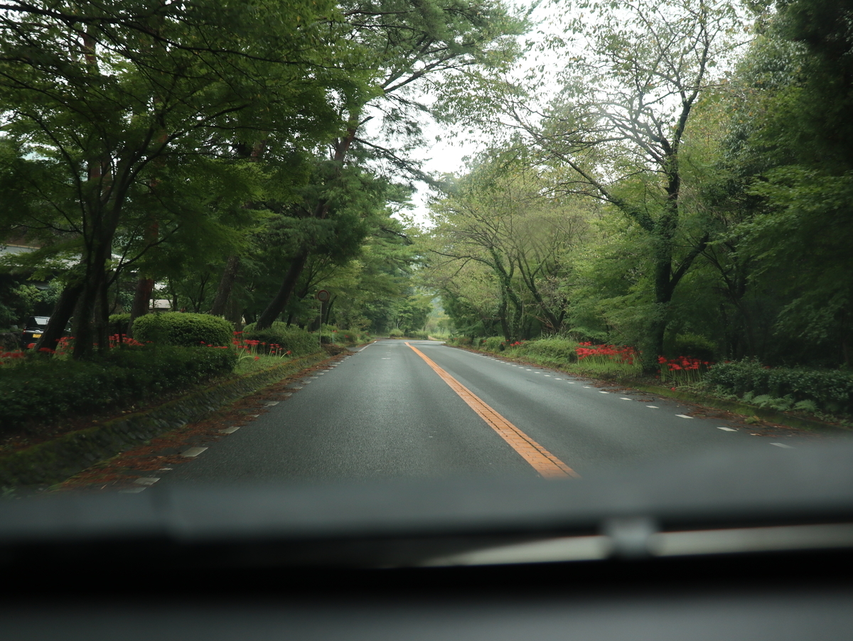 f:id:HKT1989:20200918072651j:plain f:id:HKT1989:20200918072651j:plain