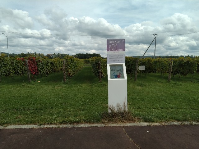 f:id:HKT1989:20201013163940j:image f:id:HKT1989:20201013163940j:image