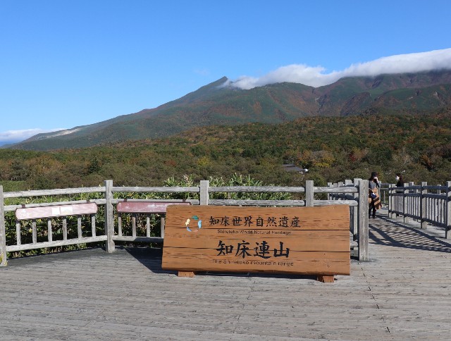 f:id:HKT1989:20201015050947j:image