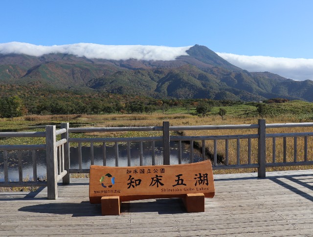 f:id:HKT1989:20201015051111j:image