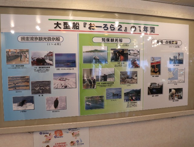 f:id:HKT1989:20201015053447j:image