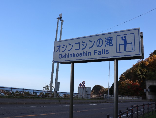 f:id:HKT1989:20201015133736j:plain