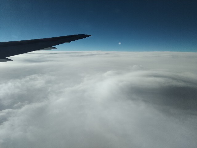 f:id:HKT1989:20201015214257j:image