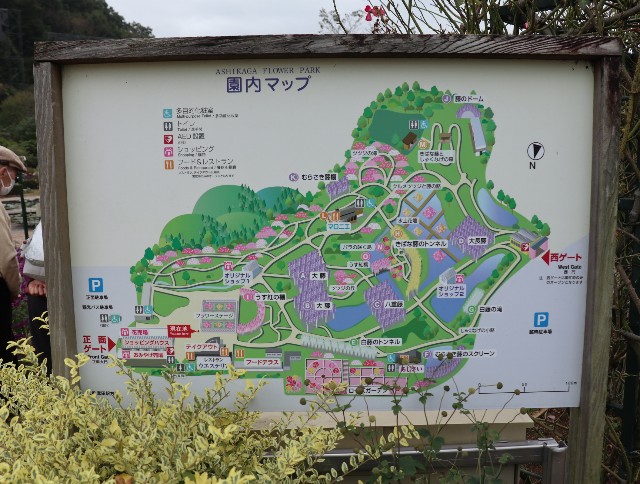 f:id:HKT1989:20201103180844j:image f:id:HKT1989:20201103180844j:image