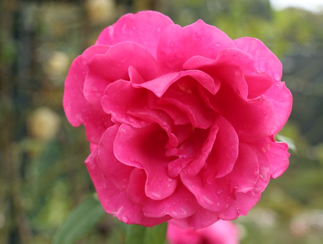 f:id:HKT1989:20201103220035j:image f:id:HKT1989:20201103220035j:image