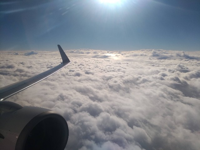 f:id:HKT1989:20201205153432j:image