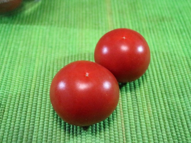 f:id:HKT1989:20210513011110j:image