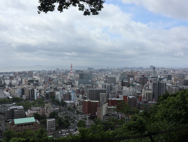 f:id:HKT1989:20210516175239j:image f:id:HKT1989:20210516175239j:image