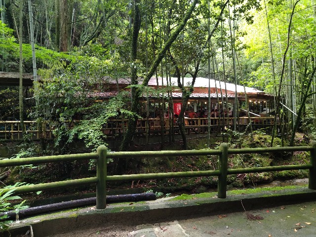 f:id:HKT1989:20210516175648j:image f:id:HKT1989:20210516175648j:image