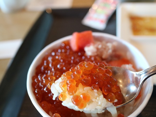 f:id:HKT1989:20210613105700j:image
