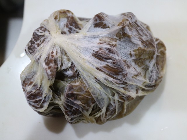 f:id:HKT1989:20210617182817j:image
