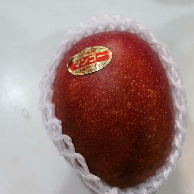 f:id:HKT1989:20210718214958j:image