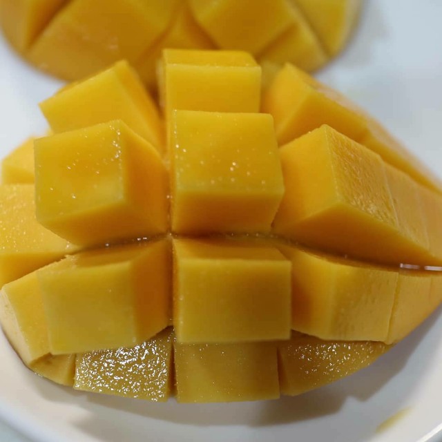 f:id:HKT1989:20210718215029j:image