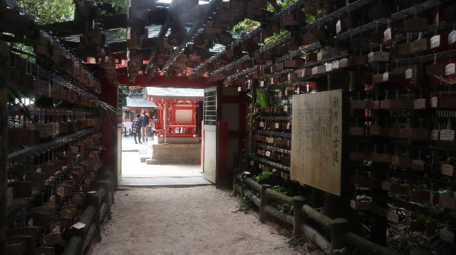 f:id:HKT1989:20210927074719j:image f:id:HKT1989:20210927074719j:image