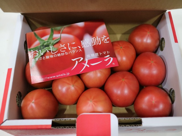 f:id:HKT1989:20220105115027j:plain