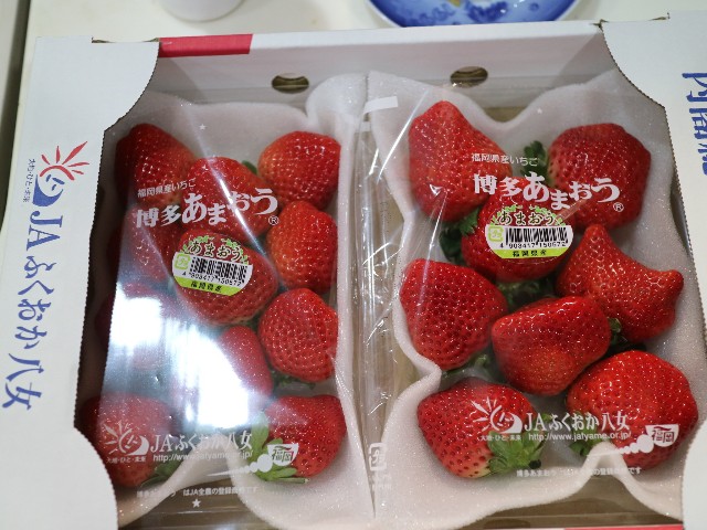 f:id:HKT1989:20220105115058j:plain