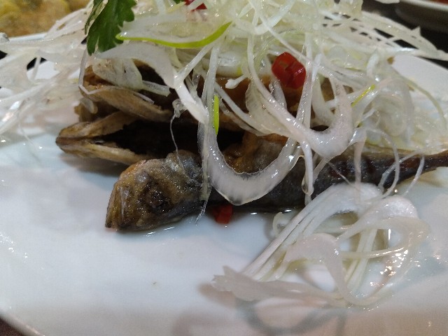 f:id:HKT1989:20220203094542j:plain