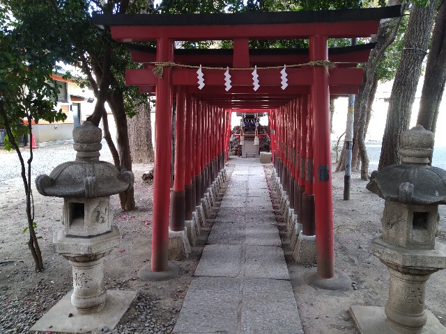 f:id:HKT1989:20220205122146j:plain
