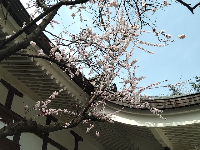 f:id:HKT1989:20220317140141j:image