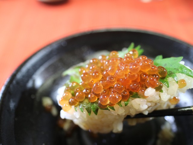 f:id:HKT1989:20220704014829j:image f:id:HKT1989:20220704014829j:image