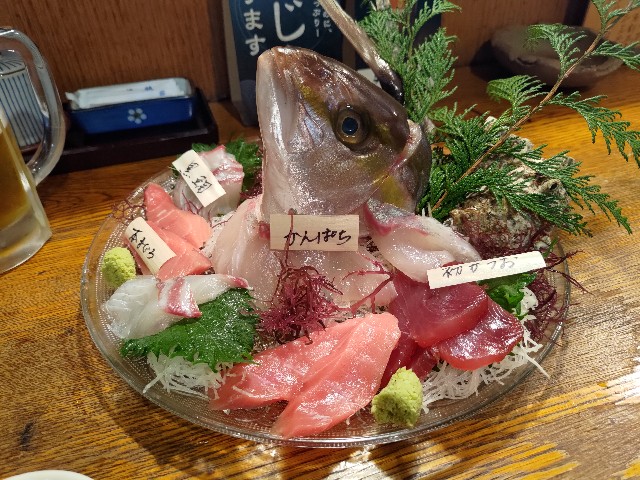 f:id:HKT1989:20230225095042j:image