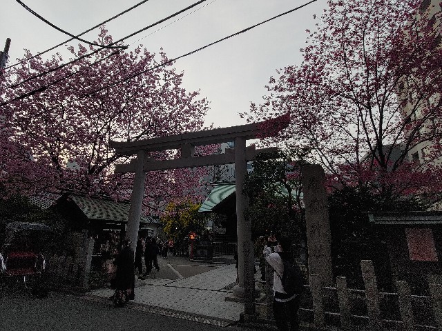 f:id:HKT1989:20230310093422j:image f:id:HKT1989:20230310093422j:image