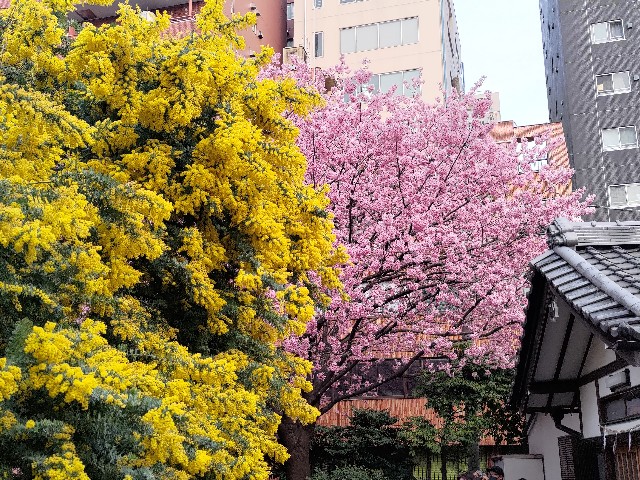 f:id:HKT1989:20230310093536j:image f:id:HKT1989:20230310093536j:image