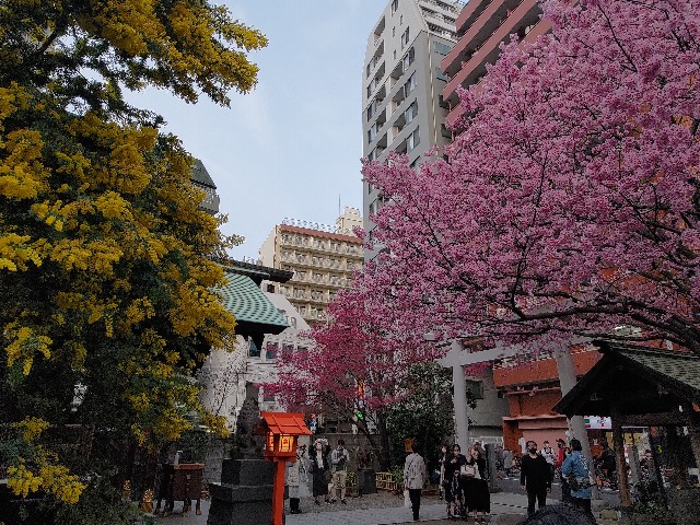 f:id:HKT1989:20230310093604j:image f:id:HKT1989:20230310093604j:image