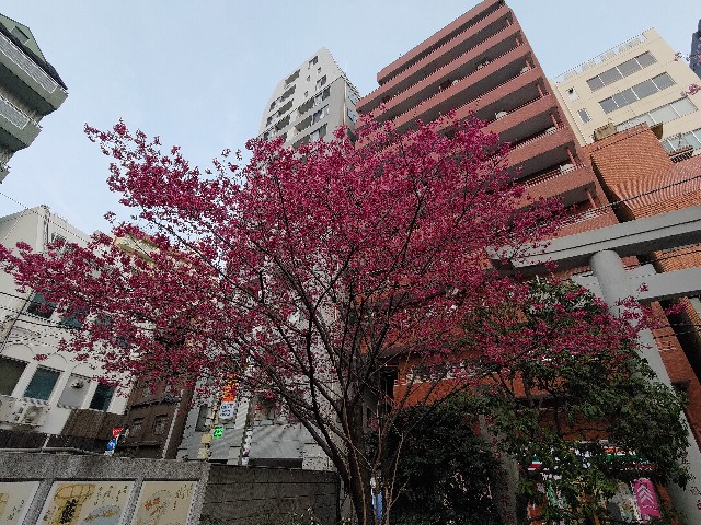 f:id:HKT1989:20230310093630j:image f:id:HKT1989:20230310093630j:image
