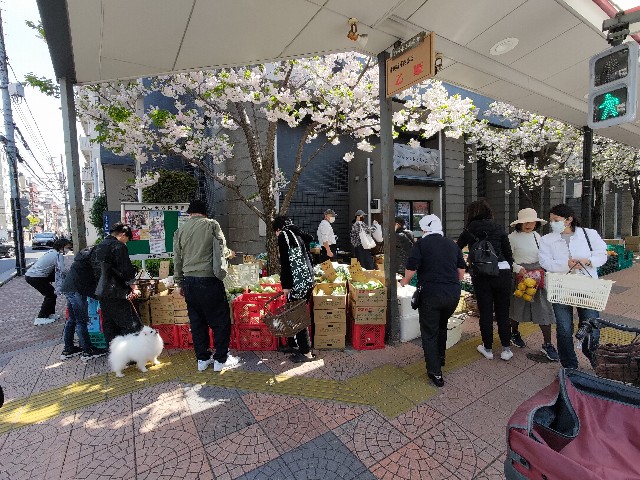 f:id:HKT1989:20230403010226j:image f:id:HKT1989:20230403010226j:image