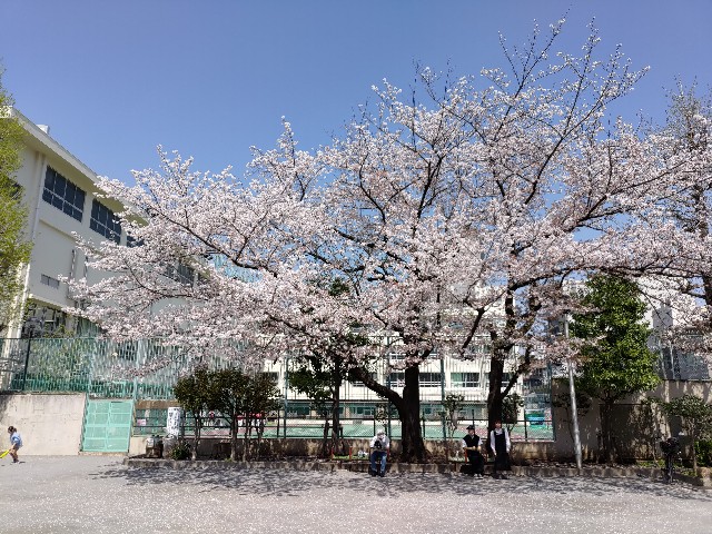 f:id:HKT1989:20230403010311j:image f:id:HKT1989:20230403010311j:image