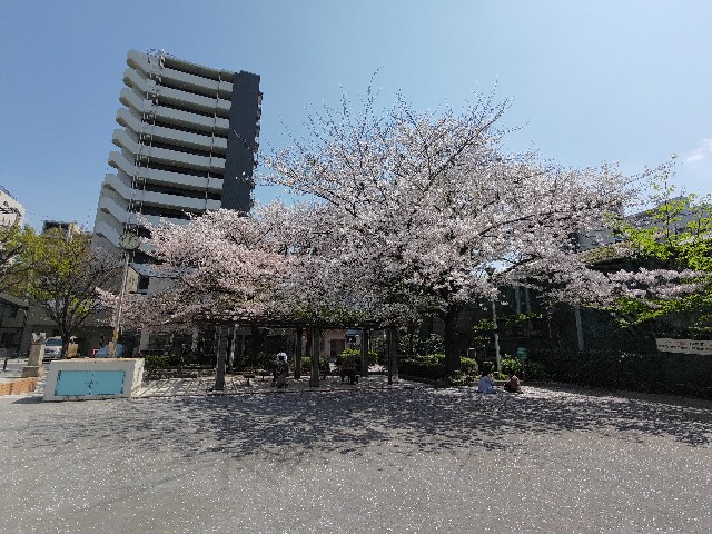 f:id:HKT1989:20230403010324j:image f:id:HKT1989:20230403010324j:image