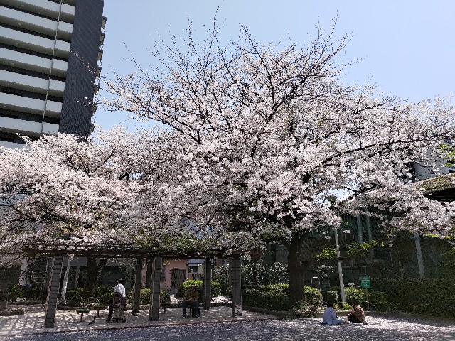 f:id:HKT1989:20230403010334j:image f:id:HKT1989:20230403010334j:image